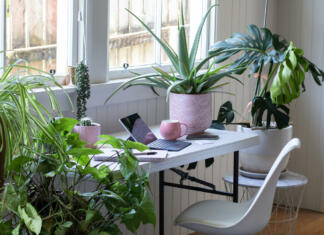 Inovativni načini za zalivanje rastlin med daljšo odsotnostjo Desk table and chair interior with laptoo computer and potted plants