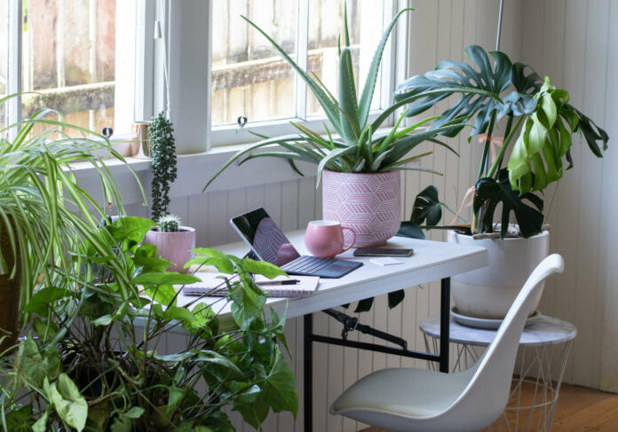 Desk table and chair interior with laptoo computer and potted plants