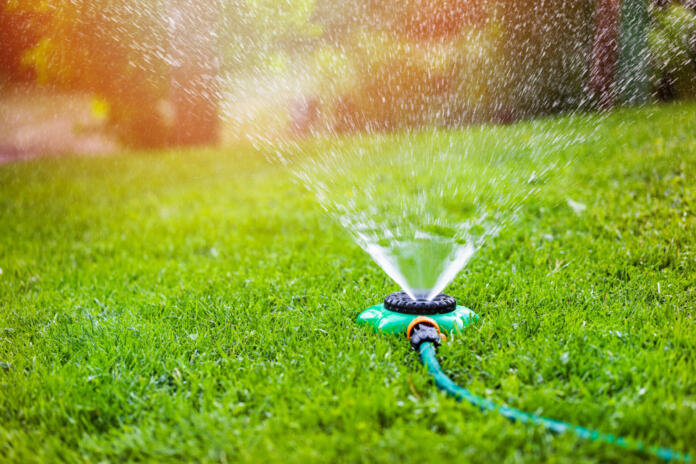 garden sprinkler watering grass at home backyard