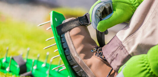 Spiked Aerator Shoes. Men Aerating His Lawn Strapping on These Spiked Shoes and Taking a Stroll Across His Yard. Grass Field Aeration