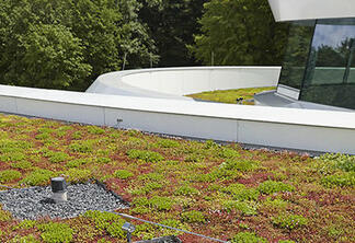 Sistemi zelenih streh in kaj prinašajo Ekstenzivna ozelenitev strehe