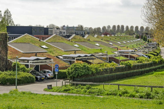 Dordrecht, The Netherlands, April 15, 2022: row of modern patio houses with vegetated roofs and solar panels