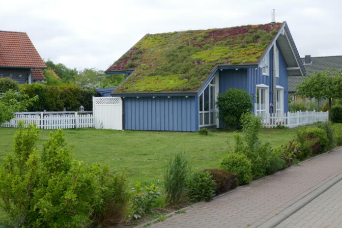 Prednosti in slabosti zelene strehe