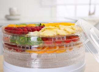 Prednosti in slabosti sušilnikov sadja Prednosti in slabosti sušilnika sadja