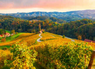 Znanstveniki predvidevajo konec letnih časov kot jih poznamo Famous heart-shaped wine route in beautiful autumn colors, wonderful vineyards near Maribor, close to the Austrian border in Slovenia