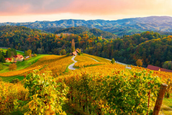 Famous heart-shaped wine route in beautiful autumn colors, wonderful vineyards near Maribor, close to the Austrian border in  Slovenia