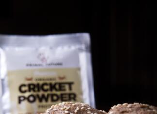 Francosko podjetje prideluje meso iz insektov! Je to prehrana prihodnosti? primal future, cricket powder, cricket flour