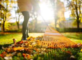Kdaj je čas za zadnjo košnjo trate? odstranjevanje listja s trave jeseni