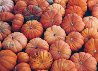 Kam z bučami po noči čarovnic? buča, buče