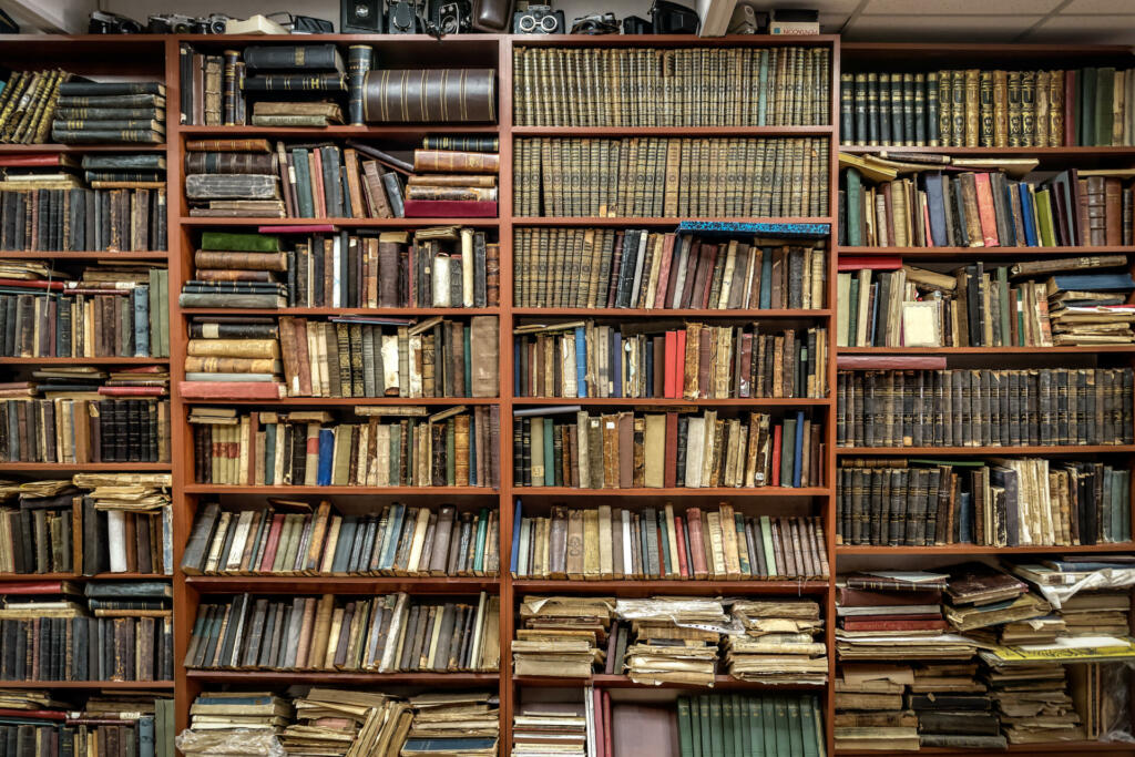 Different old books on the shelves