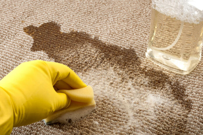 House cleaning and scrubbing the floor concept with close up of a hand wearing yellow rubber gloves cleaning up a spilled cup of coffee on a carpet with a sponge and a bottle of carpet cleaner