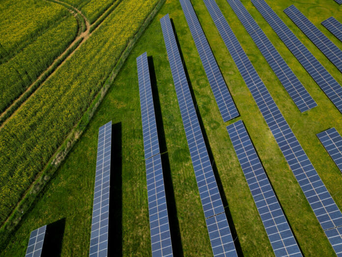 photovoltaic power plant in a rapeseed field. chemical technology crops and silicon solar panels of renewable solar energy in rows side by side. fragmentation of the landscape and glossy surfaces , devastation, developers, rebate, subsidies