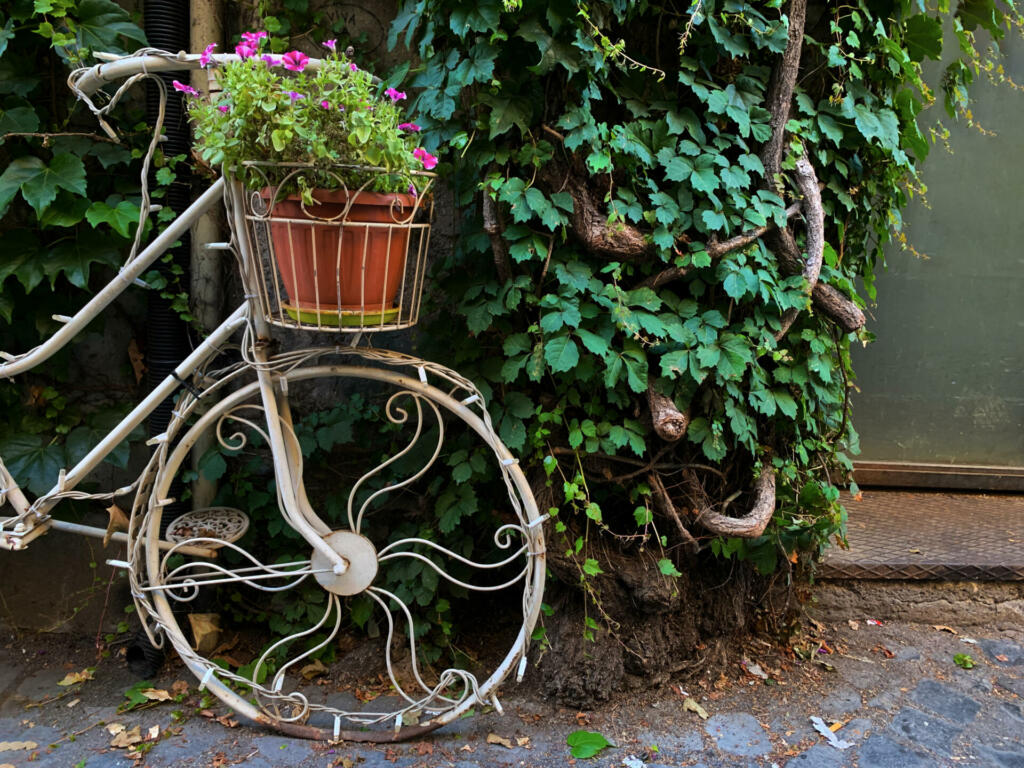 White parked bicycle with a basket and flowers inside in a green street with lots of greenery, nature and plants creating a romantic mindful scenery