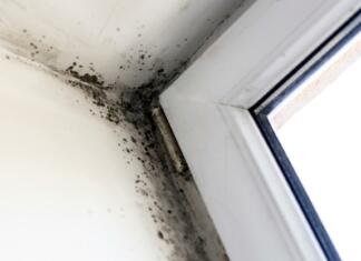 Prezračevalni sistem – da ali ne? Razbijmo nekaj mitov Plesen v kotu ob oknu