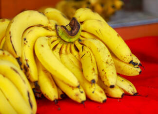 Ali veste, kakšno banano je bolje jesti – tisto polno črnih pik, rumeno ali rahlo zelenkasto? A bunch of whole ripe Banana