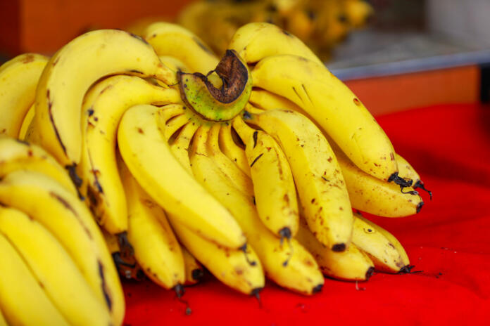 A bunch of whole ripe Banana