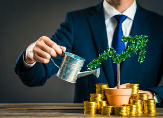 Razpisane nagrade za mala in zagonska podjetja! Businessmen with plants