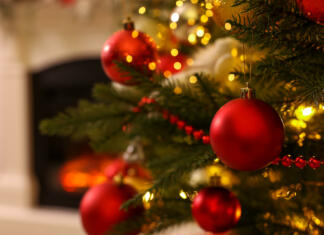 Kdaj pospravite božične okraske in drevesce? Večina jih je že, nekateri jih bodo imeli do julija Božično drevo.