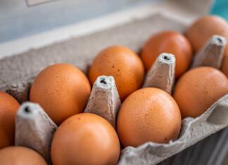 Jajc ne smete hraniti v hladilniku: znani ‘chef’ razkriva zakaj Closeup macro of pasture raised farm fresh dozen brown eggs store bought from farmer in carton box container with speckled eggshells texture