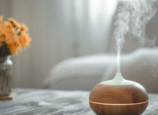 Prednosti in slabosti vlažilcev zraka: Se difuzorji izplačajo? Prednosti in slabosti difuzorjev ali vlažilcev zraka