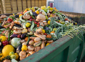 Uporabni nasveti za zmanjšanje količine zavržene hrane! A pozor, obstaja tveganje Expired Organic bio waste. Mix Vegetables and fruits in a huge container, in a rubbish bin. Heap of Compost from vegetables or food for animals.