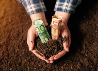 Objavljen nov razpis za mlade kmete: Kaj prinaša AGRO FI mladi? Hands with fertile soil and euro money banknotes, female farmer handful of cultivated land that makes profit and steady income from sustainable agricultural activity like organic growth of crops