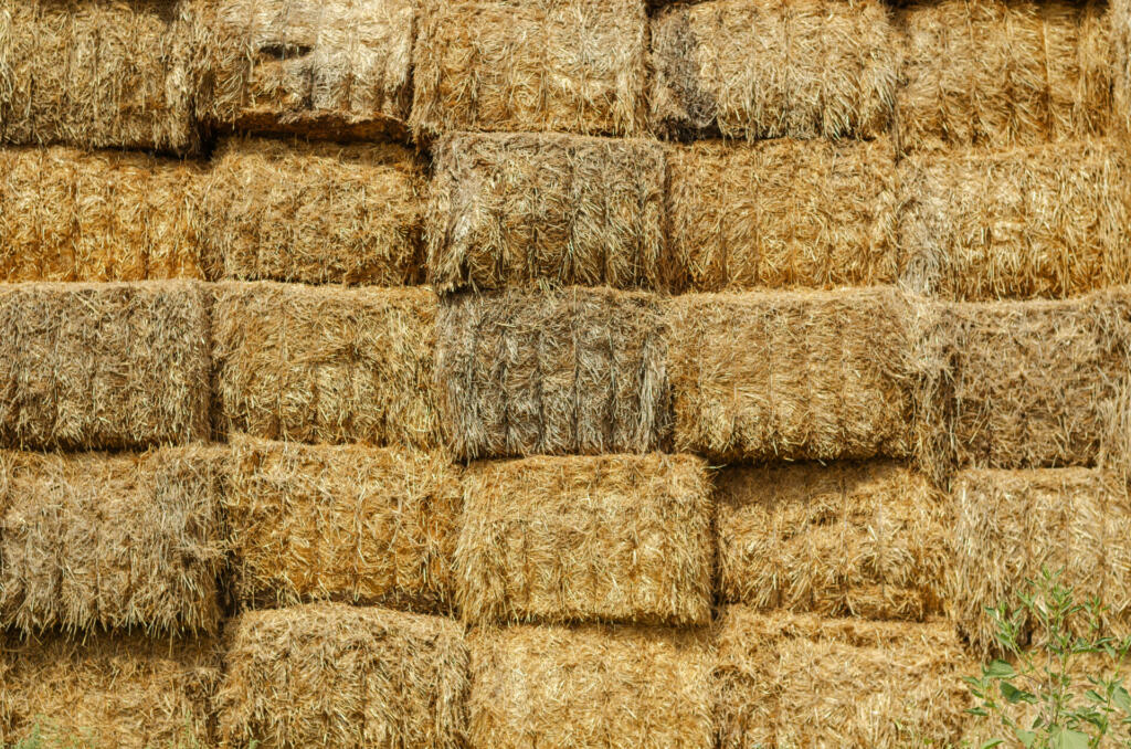 Warehouse of rectangular bales of hay. The uneven texture of a stack of dry straw collected for animal feed. Stack of dry hay bales. Outside.