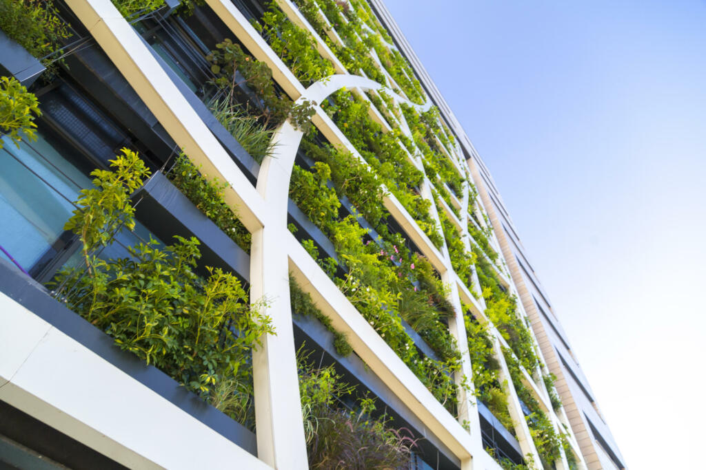 Detail from a living wall covered with variety of plants, flowers and grass, eco-friendly urban architecture in Tel Aviv, Israel