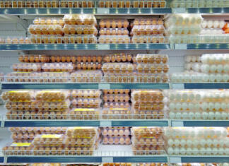 Pet nevarnih posledic, ki vas doletijo, če uživate preveč jajc Packaging of chicken eggs on supermarket shelves cooled