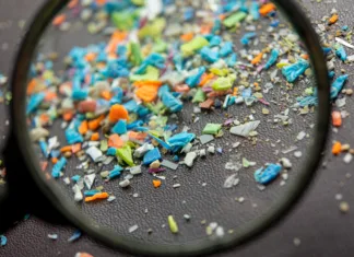 Mikroplastika: nevidna grožnja za zdravje, življenje in okolje Macro shot on a bunch of microplastics that cannot be recycled.