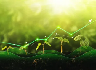 Ste za zeleni prehod EU? Potem teh strank raje ne volite v nedeljo Seedling are growing from the rich soil. Concept of business growth, profit, development and success