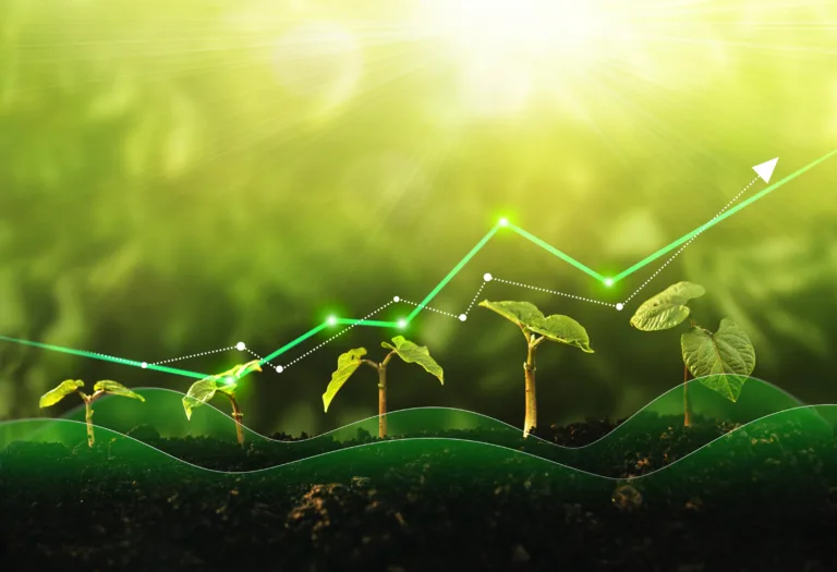 Seedling are growing from the rich soil. Concept of business growth, profit, development and success