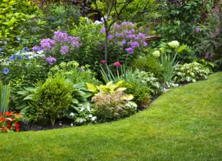 S posebnim dodatkom zemlji, bodo vaše rože cvetele vse poletje Lush landscaped garden with flowerbed and colorful plants