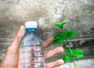 Ste na dopustu? To je trik s plastično steklenico, ki ‘sama’ zaliva vaše rastline Bottle water made to plastic on sky and tree blurry background.Using wallpaper for package or product, refreshing image and copy space