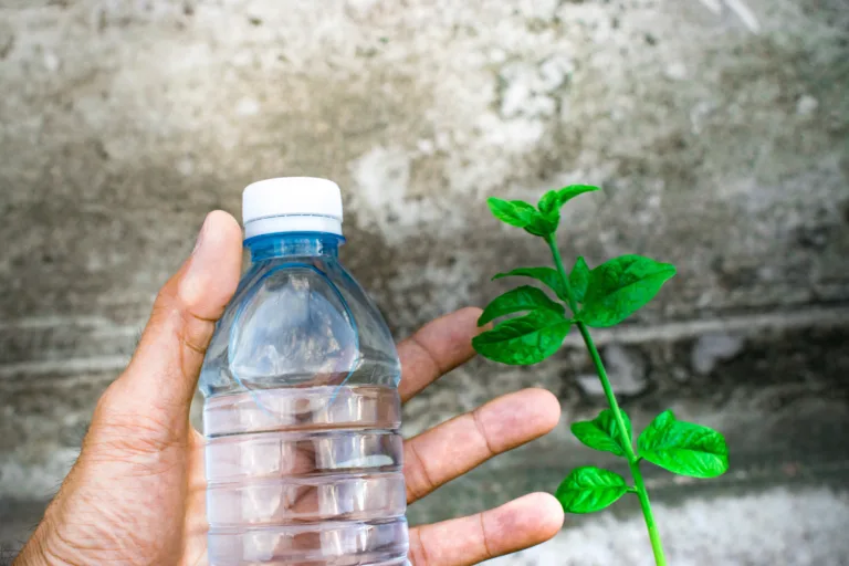 Bottle water made to plastic on sky and tree blurry background.Using wallpaper for package or product, refreshing image and copy space