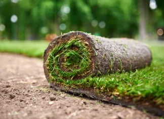 Nasveti za vzdrževanje novo posajene trave (VIDEO) making new lawn using roll grass.