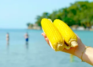 Rekordne cene na morju: koruza 7 evrov, kilogram fig 10 evrov Sea in the background and corn.
