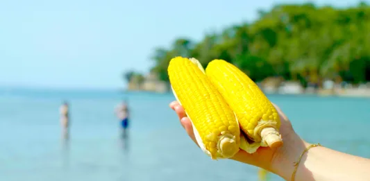 Sea in the background and corn.