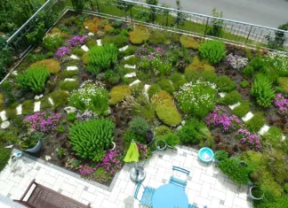 Novo življenje na starih strehah Ekstenzivna ozelenitev strehe