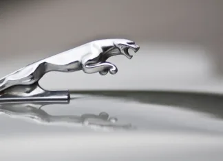 Ste že videli novo Jaguarjevo kampanjo, o kateri govori vsa stroka? Gorizia, Italy - June 3, 2012: recognisable leaping cat bonnet ornament on a classic jaguar car.