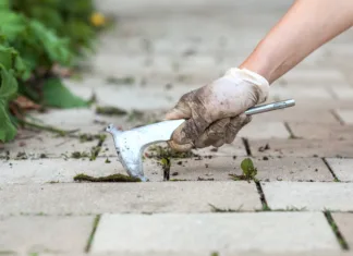 Tako se znebite plevela, ki raste okoli betona Removing Weed in Pavement. Tool for Weed Removal pavement.