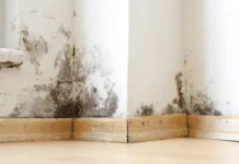Ali deluje? Odstranjevanje plesni z UV svetlobo Damp buildings damaged by black mold and fungus, dampness or water. infiltration, insulation and mold problems in the wall of the house
