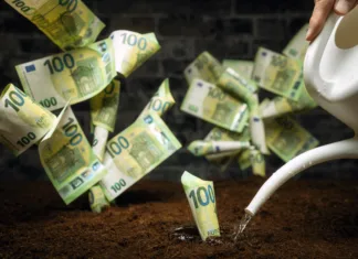 Imeli boste denar in srečo v domu skozi vse leto: kako zaščititi ‘drevo denarja’ pred propadanjem? Planting and watering money trees. A symbolic concept shot for finance, wealth, investment and success