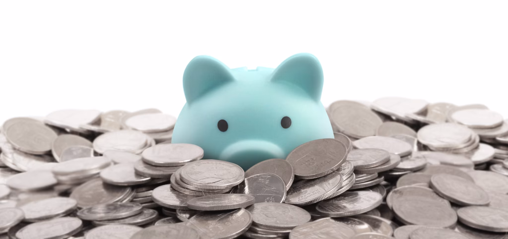Piggy bank on space for text. saving money, crisis. Business or Retirement Savings, Finance