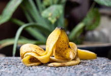 Ne mečite tega stran! Kuhinjski »odpadki«, ki vam lahko prihranijo denar Banana peel against lush healthy plants in gardening background. Good source of organic fertilizer high in potassium