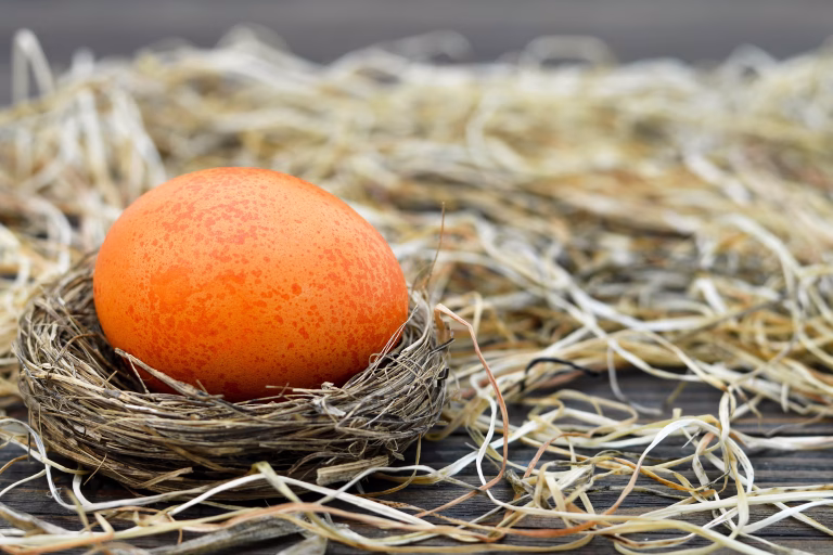 Easter egg in the nest