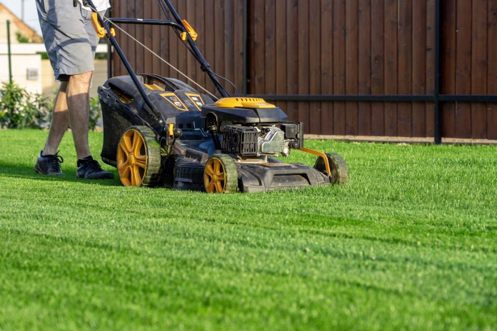 green-grass-cutting-with-lawn-mower-in-home-garden-stockpack-istock green grass cutting with lawn mower in home garden .