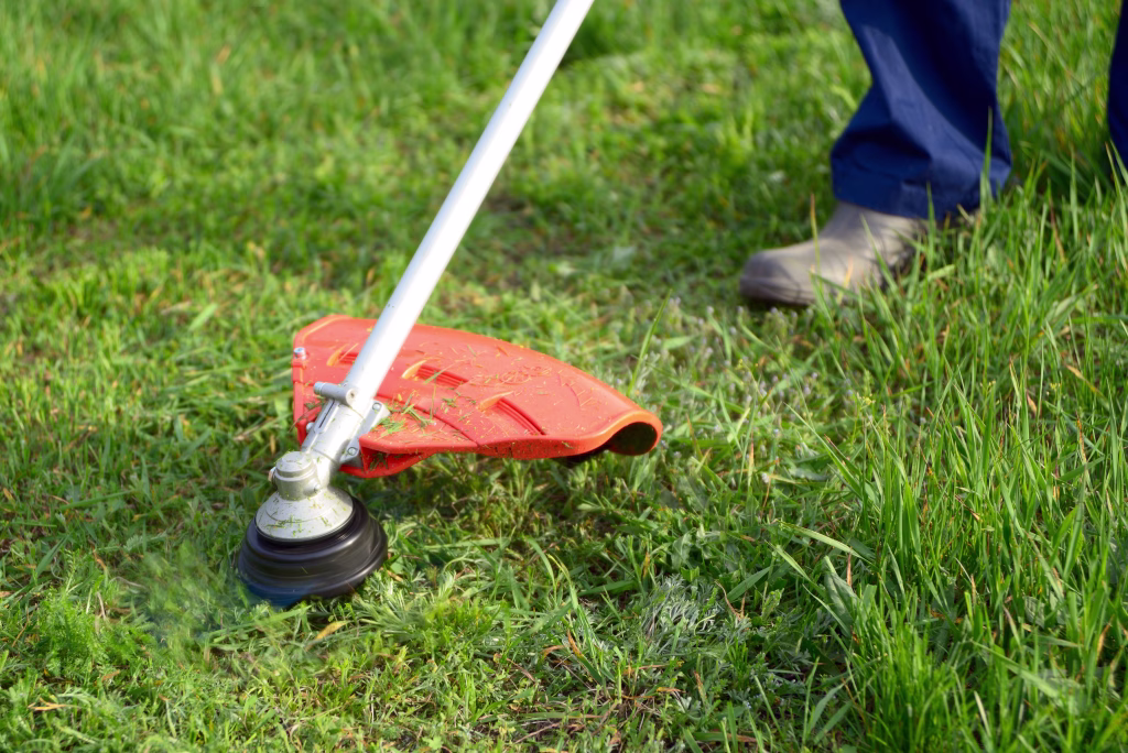 Mowing the grass on the lawn closeup