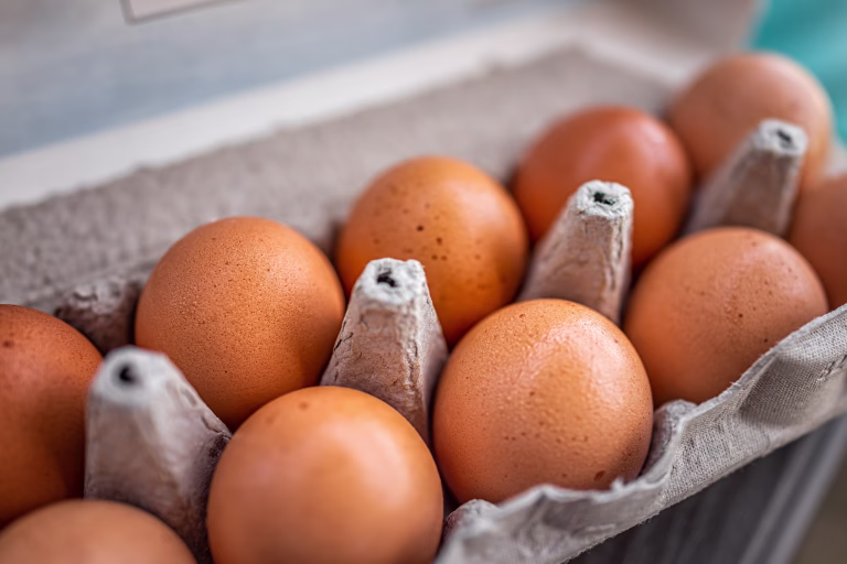 Closeup macro of pasture raised farm fresh dozen brown eggs store bought from farmer in carton box container with speckled eggshells texture