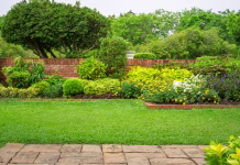 Oživite svoj vrt po poletni suši: rešilni trik, ki vas ne bo stal niti centa Backyard English cottage garden, colorful flowering plant and green grass lawn, brown pavement and orange brick wall, evergreen trees on background, in good care maintenance landscaping in park